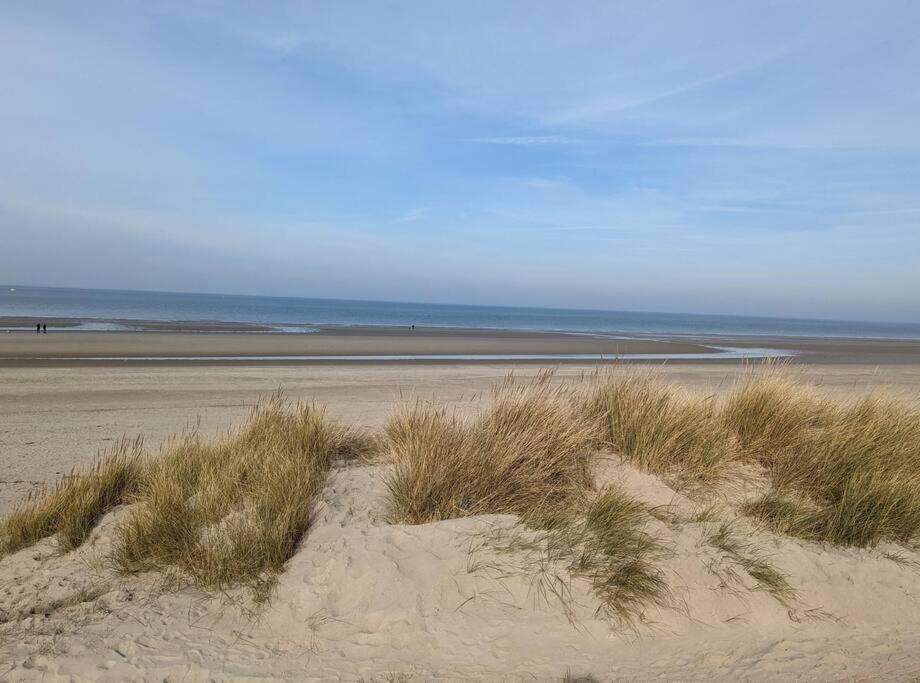L'Effet-Mer Dunkirk Dış mekan fotoğraf